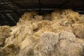 Storage of hay and straw in bales on the farm. Concept theme: Stock raising. Food security. Agricultural. Farming. Food production Royalty Free Stock Photo