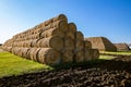 Storage of hay and straw in bales and rolls on the farm. Concept theme: Stock raising. Food security. Agricultural. Farming. Food Royalty Free Stock Photo