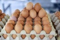 Storage of many of eggs in paper box