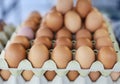 Storage of many of eggs in paper box