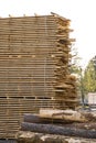 Storage of piles of wooden boards on the sawmill. Boards are stacked in a carpentry shop. Sawing drying and marketing of