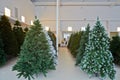 Storage room with artificial Christmas trees Royalty Free Stock Photo