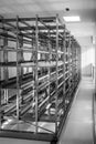 In the storage room for sterile instruments stands a new empty metal shelf