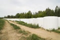 Storage of straw bales in plastic film Royalty Free Stock Photo