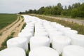 Storage of straw bales in plastic film Royalty Free Stock Photo