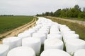 Storage of straw bales in plastic film Royalty Free Stock Photo