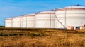 White tanks in tank farm with blue sky Royalty Free Stock Photo