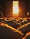 Storage warehouse filled with grain sacks illuminated by sunset Royalty Free Stock Photo