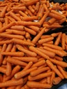 Premium fresh organic carrots