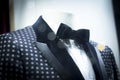 Store dummy in dinner jacket and bow tie Royalty Free Stock Photo