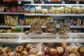 Store Managers Cat, Cat Worker Training in Supermarket, Cat Intern in Food Shop