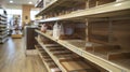 Store shelves and display cases lay empty after looters ransacked a small town boutique. Royalty Free Stock Photo