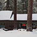 Store in the woods at Christmas Royalty Free Stock Photo