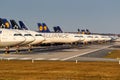 Stored Lufthansa airplanes during Coronavirus Corona Virus COVID-19 Frankfurt airport