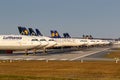 Stored Lufthansa airplanes during Coronavirus Corona Virus COVID-19 Frankfurt airport