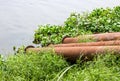 Stored old dredging pipes on the riverbank close up shot Royalty Free Stock Photo