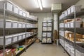 storeroom, with bins and shelves organized by type of document