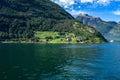 Storfjorden surrounded by hills covered in greenery under the sunlight at daytime in Norway Royalty Free Stock Photo
