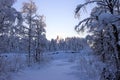 Storforsen in a fabulous winter landscape