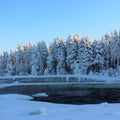 Storforsen in a fabulous winter landscape Royalty Free Stock Photo