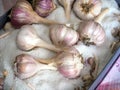 Storing garlic in a box with salt