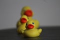 Closeup of rubber duckies at home Royalty Free Stock Photo