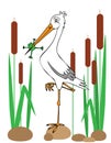 Stork