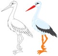 Stork Royalty Free Stock Photo