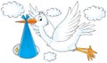 Stork