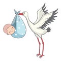 Stork with Baby Invitation Card Vector Cartoon Royalty Free Stock Photo