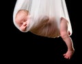 Stork Baby Package Royalty Free Stock Photo