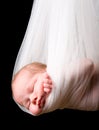 Stork Baby Package Royalty Free Stock Photo