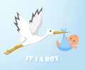 Stork and baby. Stork carries a baby in a diaper Royalty Free Stock Photo