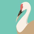 Stork bird vector illustration flat style profile Royalty Free Stock Photo