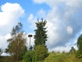 Stork birds nest and trees Royalty Free Stock Photo