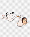 Stork bringing baby isolated on transparent background. Royalty Free Stock Photo