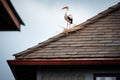 stork bringing newborn to new home, with view of welcoming family
