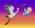 Stork brings the baby in the sky