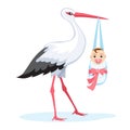 Stork carrying baby on white