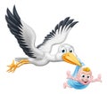 Stork Cartoon Pregnancy Myth Bird With New Baby Royalty Free Stock Photo