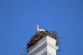 Stork on chimney of Marchegg castle