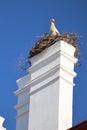 Stork on chimney of Marchegg castle