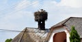 Stork on the chimneys of the old building Royalty Free Stock Photo