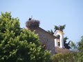 Stork on Church at Skala Kalloni Lesvos Greece Royalty Free Stock Photo