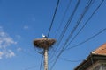 A stork Ciconia ciconia stands inside a carefully constructed nest on a lighting pole wrapped in multiple electrical wires