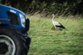 Stork on a field with a tractor Royalty Free Stock Photo