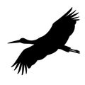 Stork in flight ,vector illustration ,silhouette Royalty Free Stock Photo