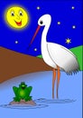 Stork and frog Royalty Free Stock Photo