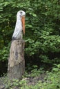 Stork head carved on wood Royalty Free Stock Photo