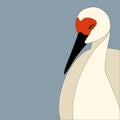 Stork head vector illustration flat style front Royalty Free Stock Photo